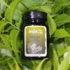 KWZ INK -4354 Arista Shadow Of Neem India Special Edition Handmade Fountain Pen Ink