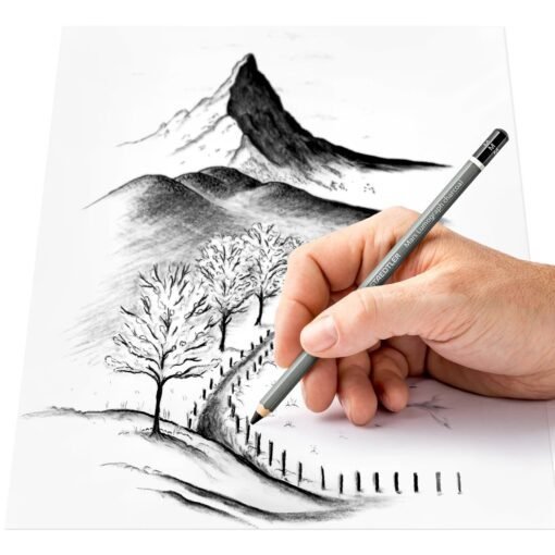 STAEDTLER Mars Lumograph Charcoal Pencils- H,M,S and one paper stump-100C - Image 4
