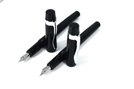 HERO 501 Fountain Pen – Transparent Design, Fine Nib