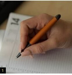 HORNER Auerus Pen Series