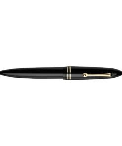 Leonardo Furore Notte Black GT Fountain Pen – La Fenice Steel Nib only at Penshelf