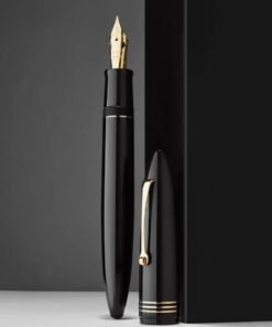 Leonardo Furore Notte Black GT Fountain Pen – La Fenice Steel Nib only at Penshelf